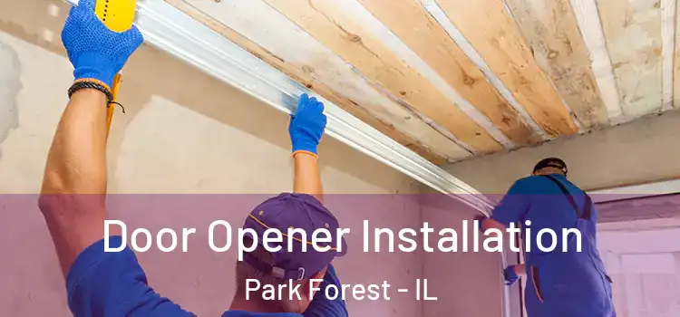  Door Opener Installation Park Forest - IL