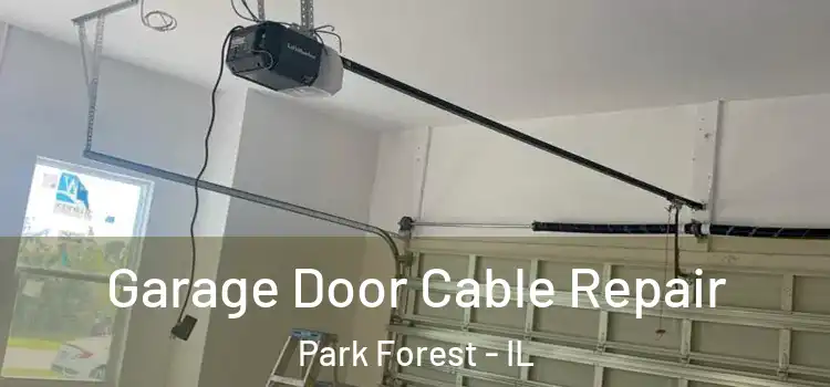  Garage Door Cable Repair Park Forest - IL