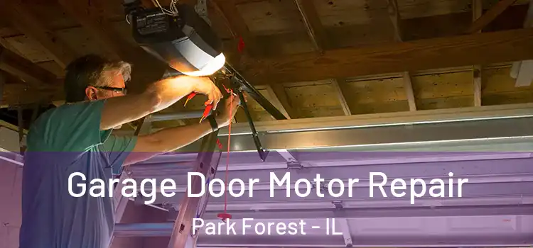  Garage Door Motor Repair Park Forest - IL