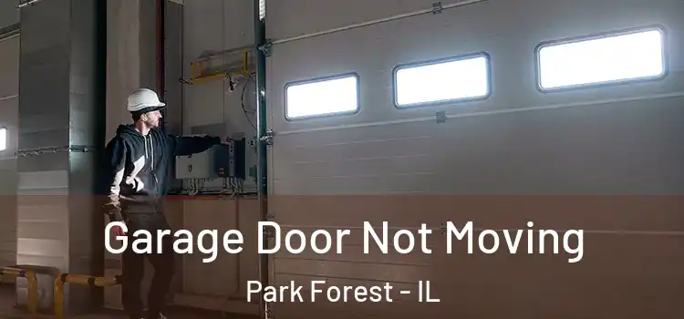  Garage Door Not Moving Park Forest - IL