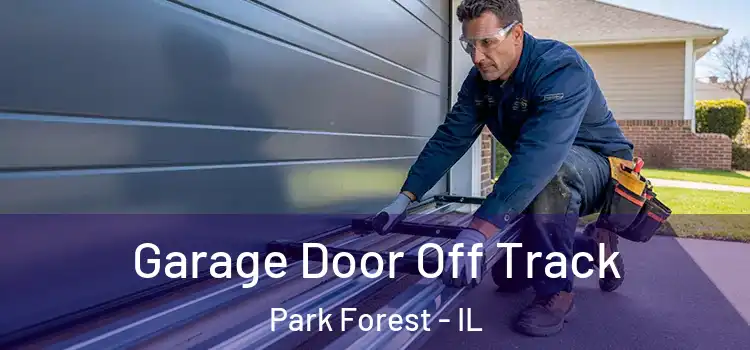  Garage Door Off Track Park Forest - IL
