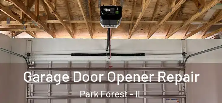  Garage Door Opener Repair Park Forest - IL