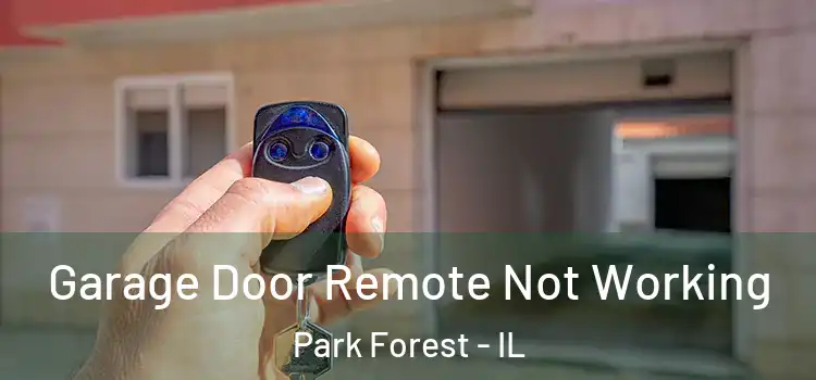  Garage Door Remote Not Working Park Forest - IL