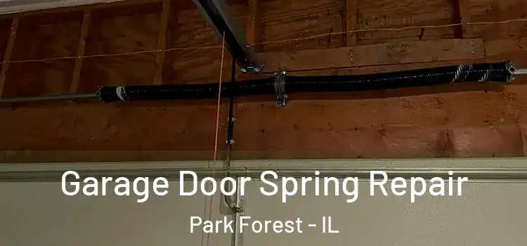 Garage Door Spring Repair Park Forest - IL
