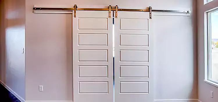 Glass Barn Door with Installation Hardware Kit Park Forest