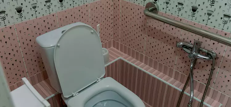 Meeting Diverse Needs With Accessible Restroom Solutions in Park Forest, IL