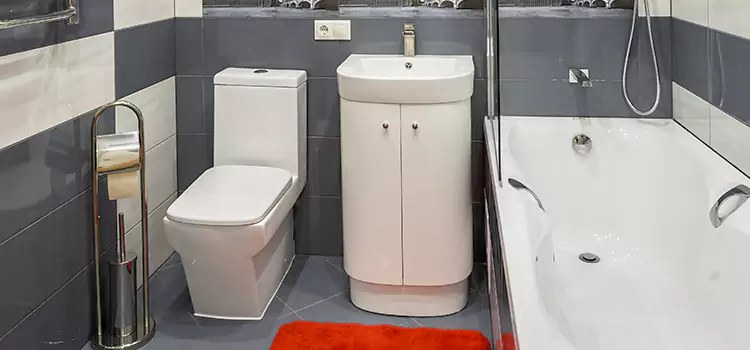 Hansgrohe Shaving Mirror Park Forest