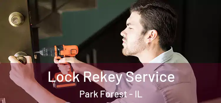  Lock Rekey Service Park Forest - IL