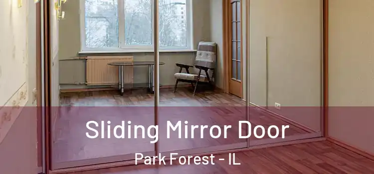  Sliding Mirror Door Park Forest - IL